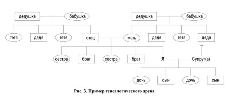 генеологическое дерево